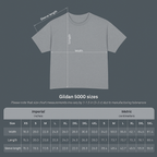 Lyria Solara Angel Anime T-Shirt Celestial Fantasy Art Tee for Anime Fans and Gamers